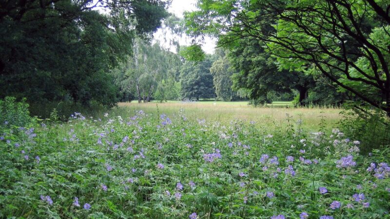 Großer Tiergarten