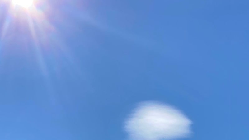 Bei Hitze cool bleiben