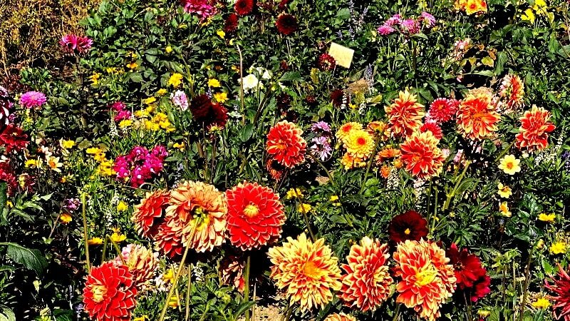 Garten der Sinne